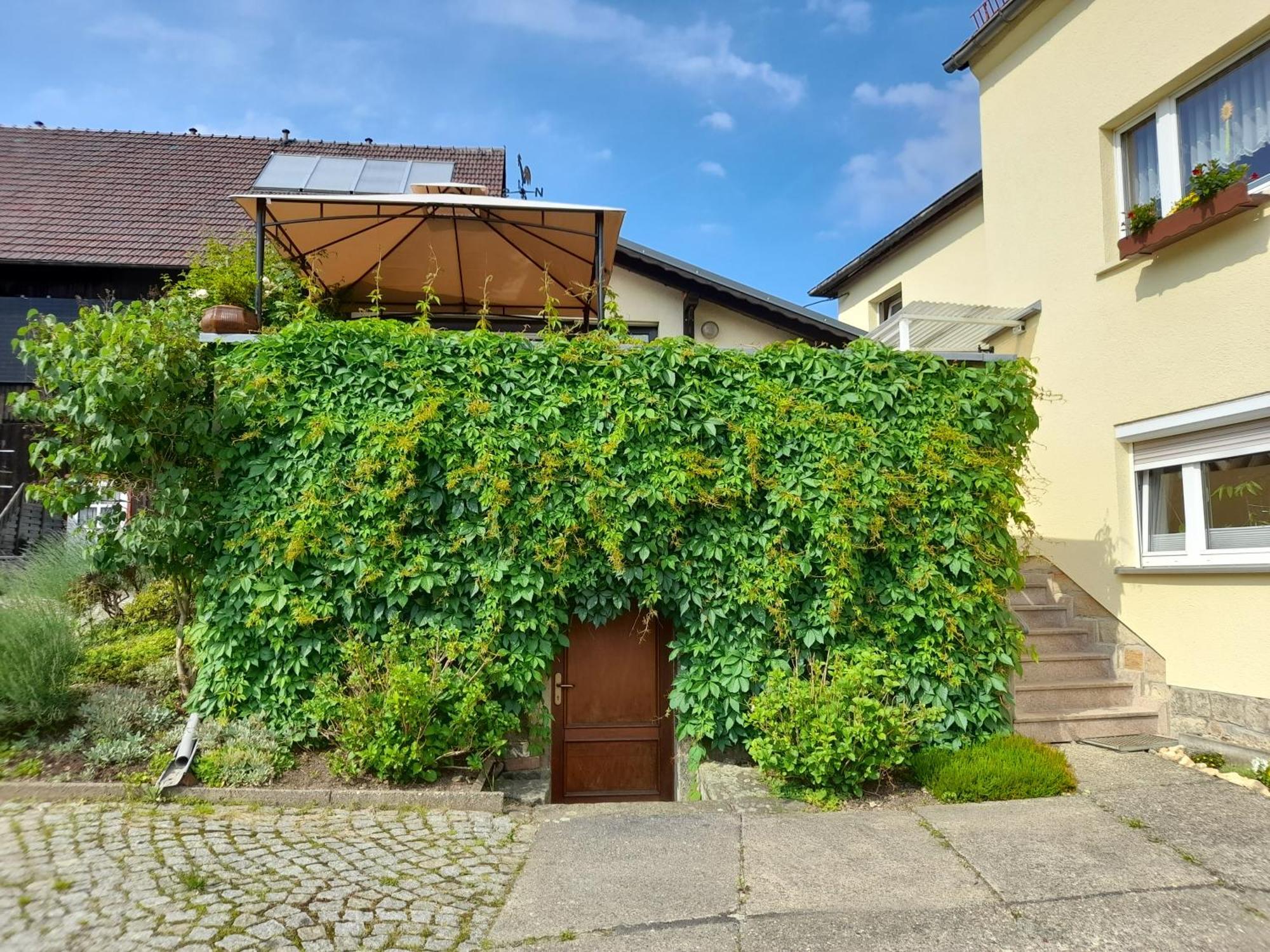 Ferienwohnung Wolfsbergblick Reinhardtsdorf-Schona Exterior foto